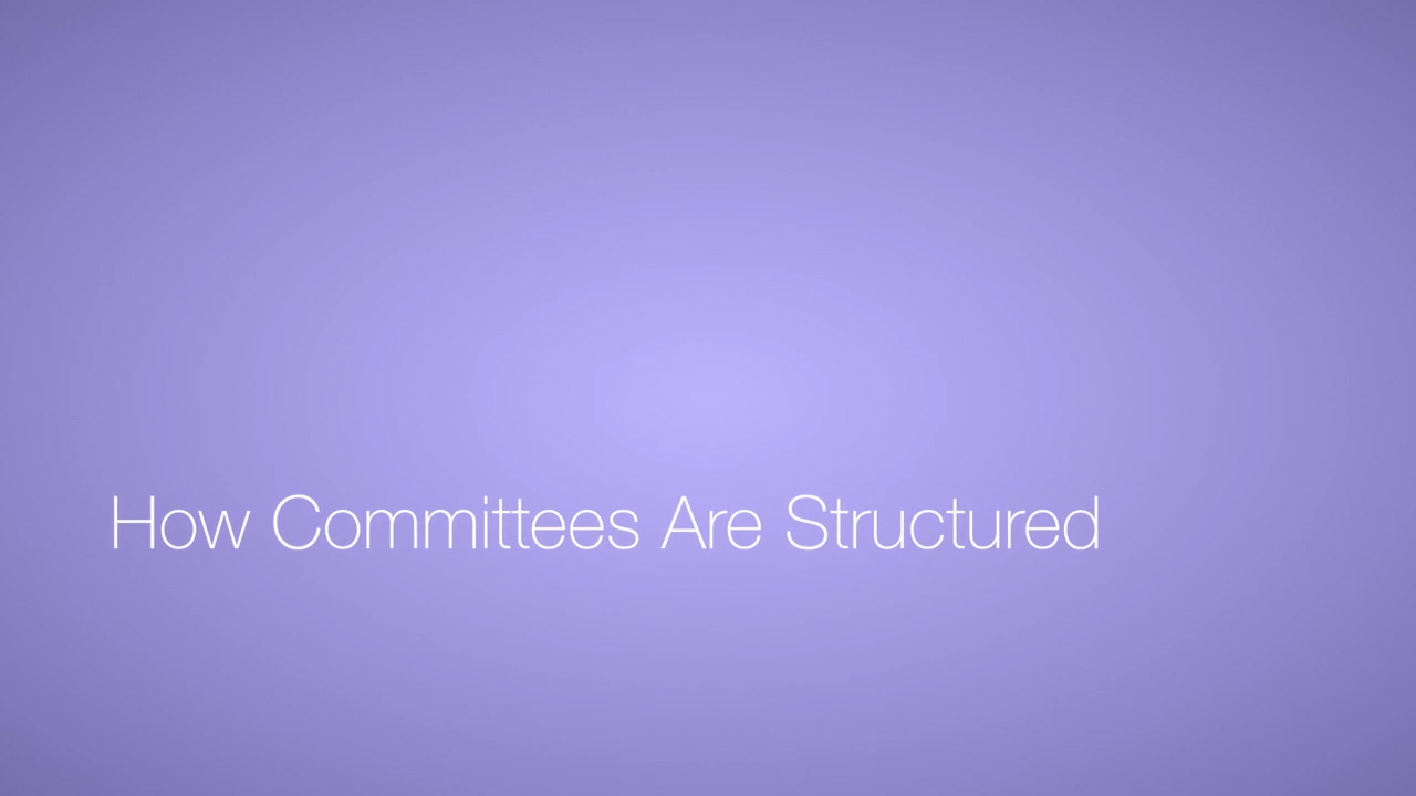 How Committees Are Structured Video Icon